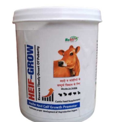 Cattle Feed Supplements
